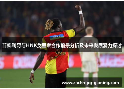 菲奥利奇与HNK戈里察合作前景分析及未来发展潜力探讨 菲奥利奇与HNK戈里察合作前景分析及未来发展潜力探讨