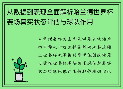 从数据到表现全面解析哈兰德世界杯赛场真实状态评估与球队作用