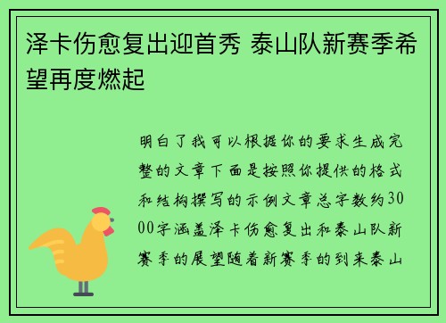 泽卡伤愈复出迎首秀 泰山队新赛季希望再度燃起